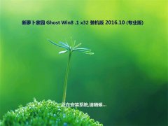 ܲ԰Ghost Win8.1 (32λ) »װ2016.10()