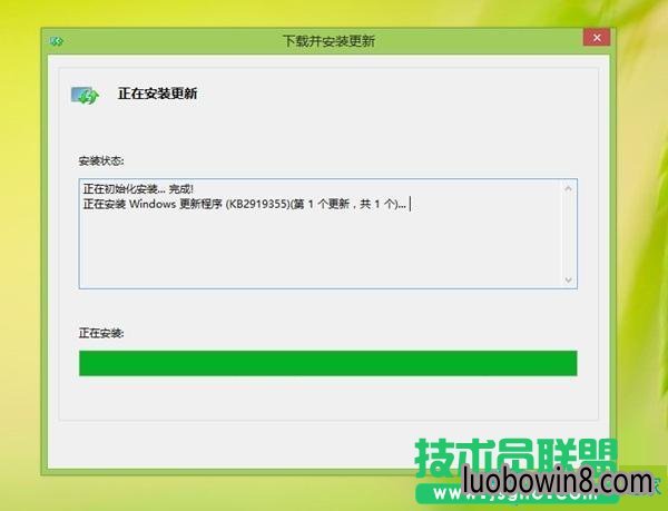 ܲ԰win8.1 kb2919355װô죿