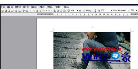 Win7ëרҵword2007ͼƬôáʴЧ