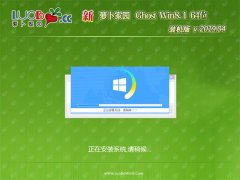 ܲ԰Ghost Win8.1 (X64) ͥװ2019V04(Լ)