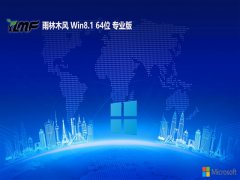 <font color='#CC0000'>ľwin8.1 64λӢƷv2025.05</font>
