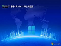 <font color='#990000'>ľv2025.05win11 64λԹ</font>
