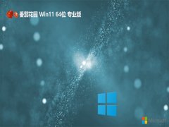<font color='#FF0000'>ѻ԰win11 64λ ⼤ѡƷv2025.05</font>