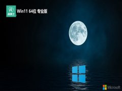 <font color='#0033CC'>ʿwin11 64λˬv2025.05</font>